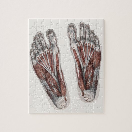  menselijke anatomie Voetafdruk podiatry Feet Legpuzzel (Verticaal)