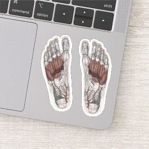 menselijke anatomie Voetafdruk podiatry Foot Sticker