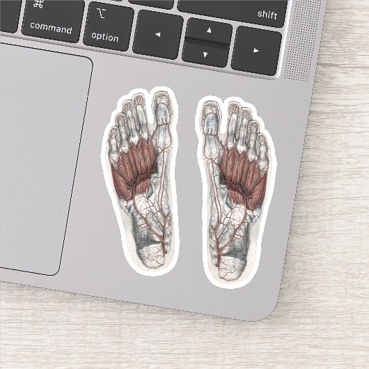  menselijke anatomie Voetafdruk podiatry Foot Sticker (Detail)