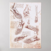 Menselijke anatomie voetbeenderen door Leonardo da Poster (Voorkant)