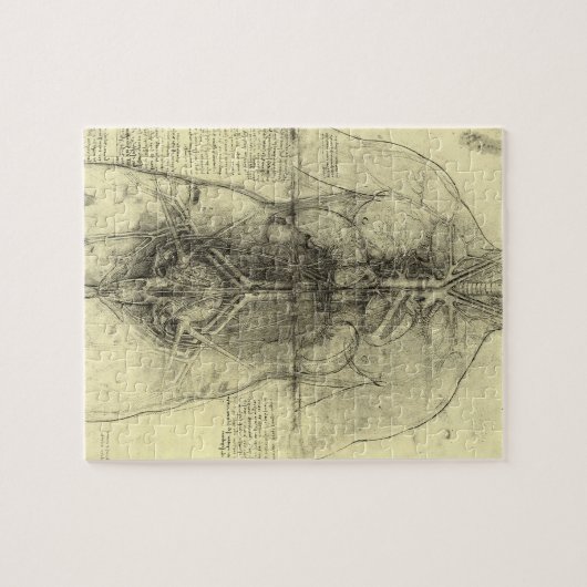 Menselijke anatomie, Vrouw Torso van Leonardo da V Legpuzzel (Horizontaal)