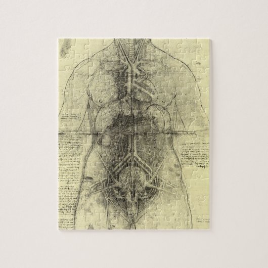 Menselijke anatomie, Vrouw Torso van Leonardo da V Legpuzzel (Verticaal)