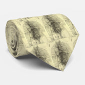 Menselijke anatomie, Vrouw Torso van Leonardo da V Stropdas (Opgerold)