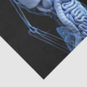 Menselijke Anatomie Weefseldocument Tissuepapier (Detail)