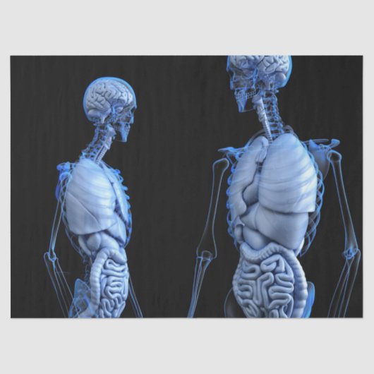 Menselijke Anatomie Weefseldocument Tissuepapier (Voorkant)