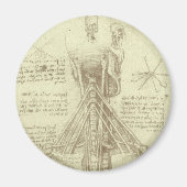 Menselijke anatomie wervelkolom door Leonardo da V Magneet (Voorkant)