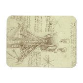 Menselijke anatomie wervelkolom door Leonardo da V Magneet (Horizontaal)