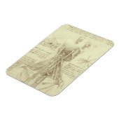 Menselijke anatomie wervelkolom door Leonardo da V Magneet (Linkerzijde)