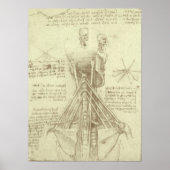 Menselijke anatomie wervelkolom door Leonardo da V Poster (Voorkant)