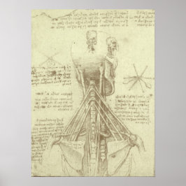 Menselijke anatomie wervelkolom door Leonardo da V Poster