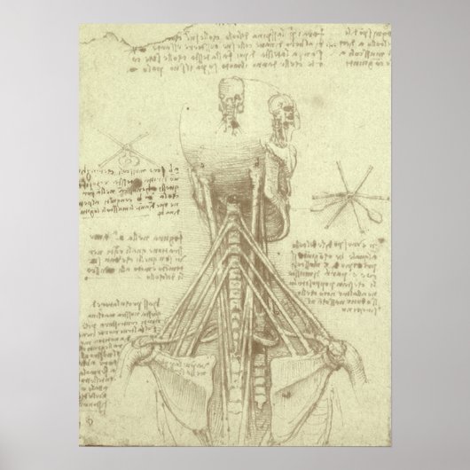 Menselijke anatomie wervelkolom door Leonardo da V Poster (Voorkant)