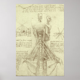 Menselijke anatomie Wervelkolom door Leonardo da V Poster