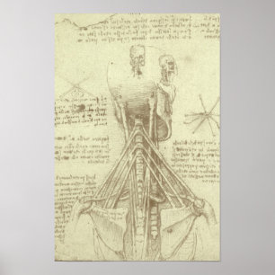 Menselijke anatomie Wervelkolom door Leonardo da V Poster