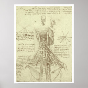 Menselijke anatomie Wervelkolom door Leonardo da V Poster