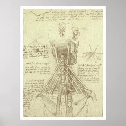 Menselijke anatomie Wervelkolom door Leonardo da V Poster (Voorkant)
