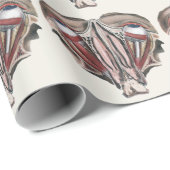  menselijke anatomie Wetenschap, Eyeballen Eyes Cadeaupapier (Rol Hoek)