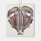 menselijke anatomie Wetenschap, Eyeballen Eyes Keramisch Ornament (Links)