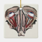 menselijke anatomie Wetenschap, Eyeballen Eyes Keramisch Ornament (Achterkant)