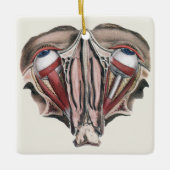 menselijke anatomie Wetenschap, Eyeballen Eyes Keramisch Ornament (Voorkant)