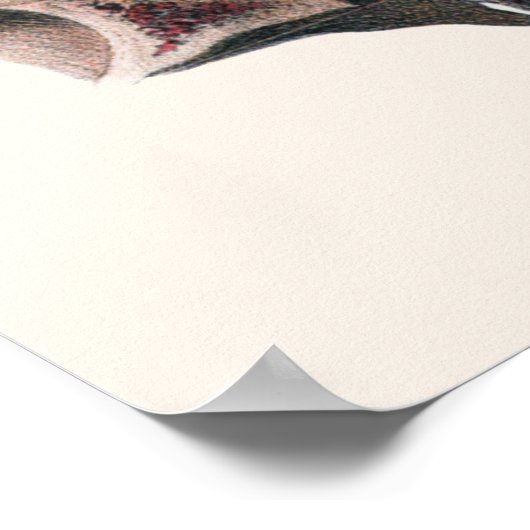  menselijke anatomie Wetenschap, Eyeballen Eyes Poster (Hoek)