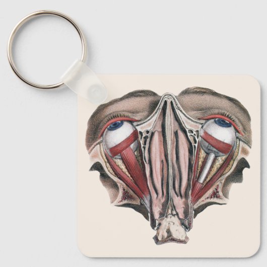  menselijke anatomie Wetenschap, Eyeballen Eyes Sleutelhanger (Voorkant)