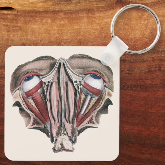 menselijke anatomie Wetenschap, Eyeballen Eyes Sleutelhanger (Achterkant)