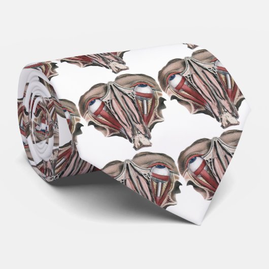  menselijke anatomie Wetenschap, Eyeballen Eyes Stropdas (Opgerold)