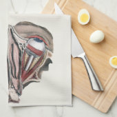 menselijke anatomie Wetenschap, Eyeballen Eyes Theedoek (Quarter Fold)