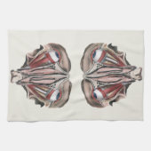 menselijke anatomie Wetenschap, Eyeballen Eyes Theedoek (Horizontaal)