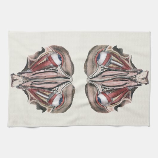  menselijke anatomie Wetenschap, Eyeballen Eyes Theedoek (Horizontaal)