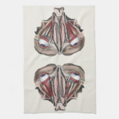 menselijke anatomie Wetenschap, Eyeballen Eyes Theedoek (Verticaal)