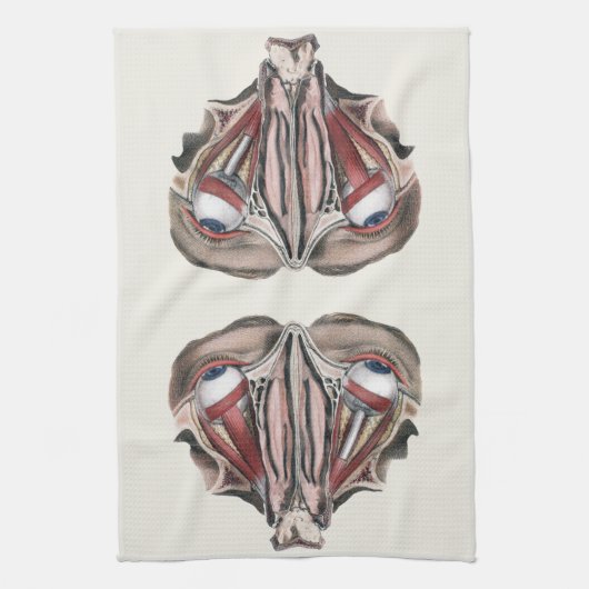  menselijke anatomie Wetenschap, Eyeballen Eyes Theedoek (Verticaal)