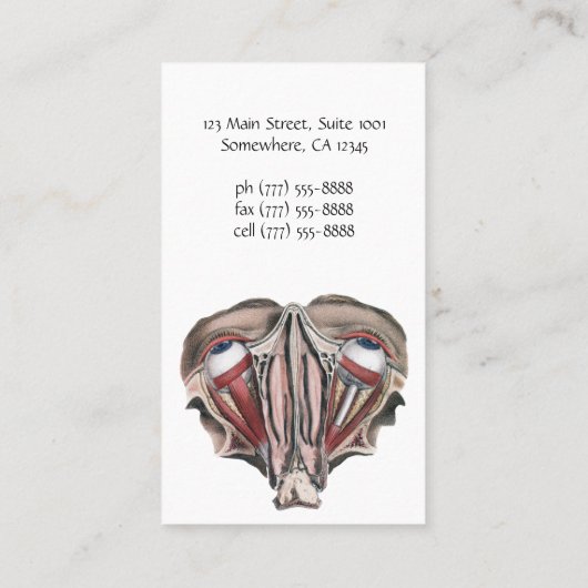 menselijke anatomie Wetenschap, Eyeballen Eyes Visitekaartje (Achterkant)