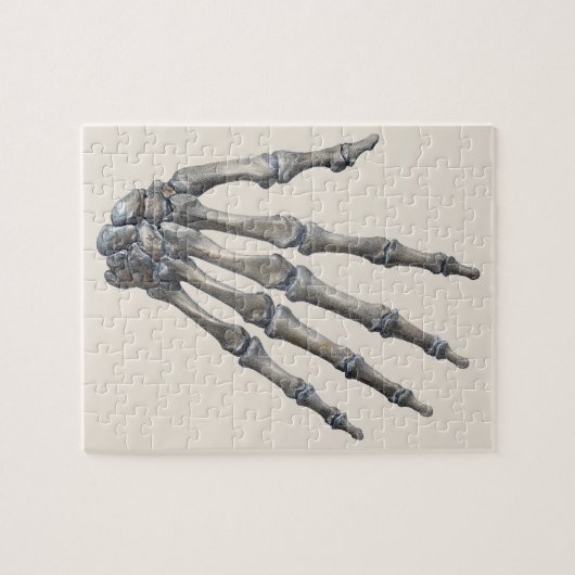 menselijke anatomie wetenschap, skelethanden legpuzzel (Horizontaal)