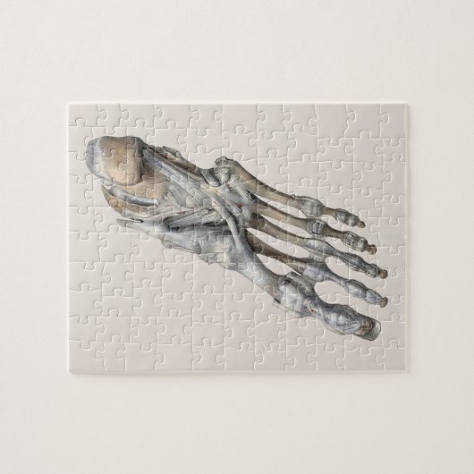 menselijke anatomie wetenschap, skeleton Feet Legpuzzel (Horizontaal)