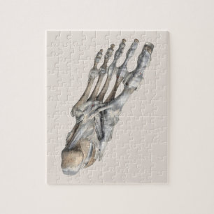 menselijke anatomie wetenschap, skeleton Feet Legpuzzel