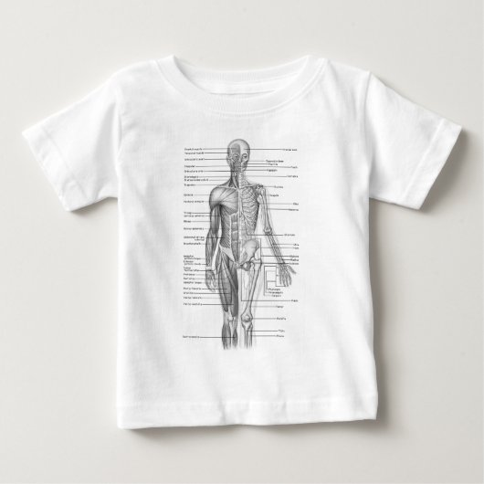 Menselijke anatomiegrafiek (Voorkant)