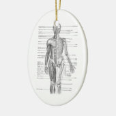 Menselijke anatomiegrafiek keramisch ornament (Links)