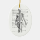 Menselijke anatomiegrafiek keramisch ornament (Voorkant)