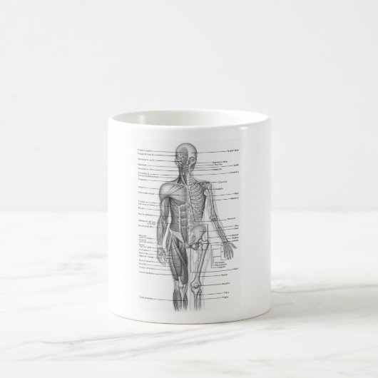 Menselijke anatomiegrafiek koffiemok (Center)
