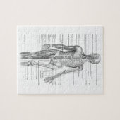 Menselijke anatomiegrafiek legpuzzel (Horizontaal)