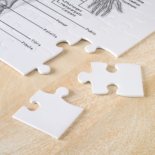 Menselijke anatomiegrafiek legpuzzel (Zijkant)