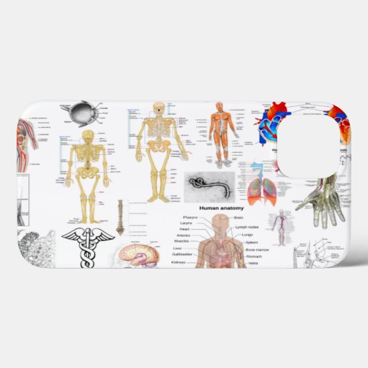 Menselijke anatomiekaarten Case-Mate iPhone case (Achterkant (horizontaal))