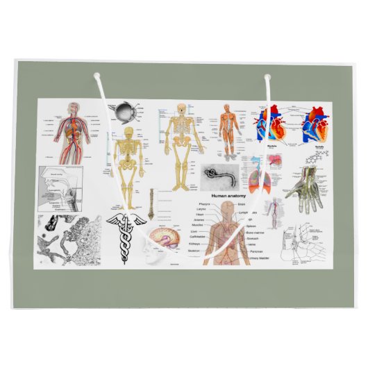 Menselijke anatomiekaarten groot cadeauzakje (Achterkant)