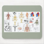 Menselijke anatomiekaarten muismat (Voorkant)