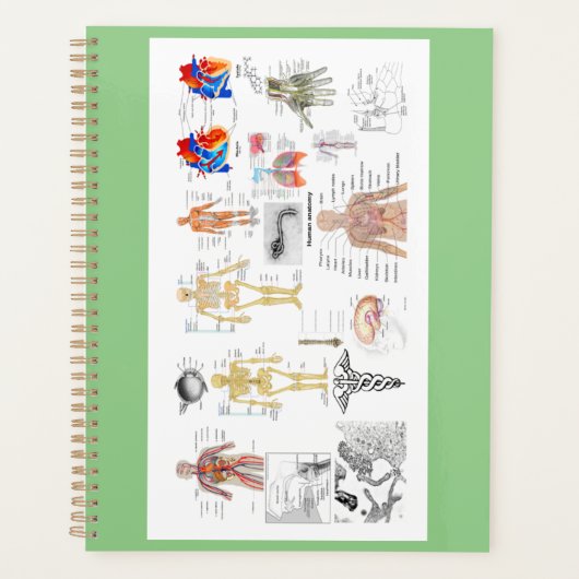 Menselijke anatomiekaarten planner (Voorkant)