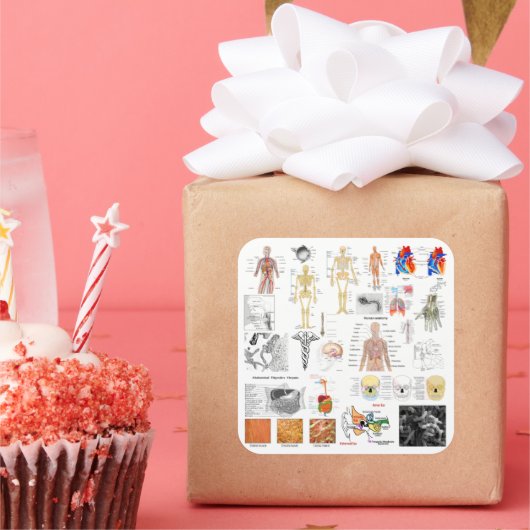 Menselijke anatomiekaarten vierkante sticker (Feest)
