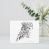 Menselijke  anatomiespieren van de nek briefkaart (Staand voorkant)