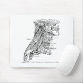 Menselijke  anatomiespieren van de nek muismat (Met muis)