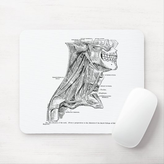 Menselijke  anatomiespieren van de nek muismat (Met muis)